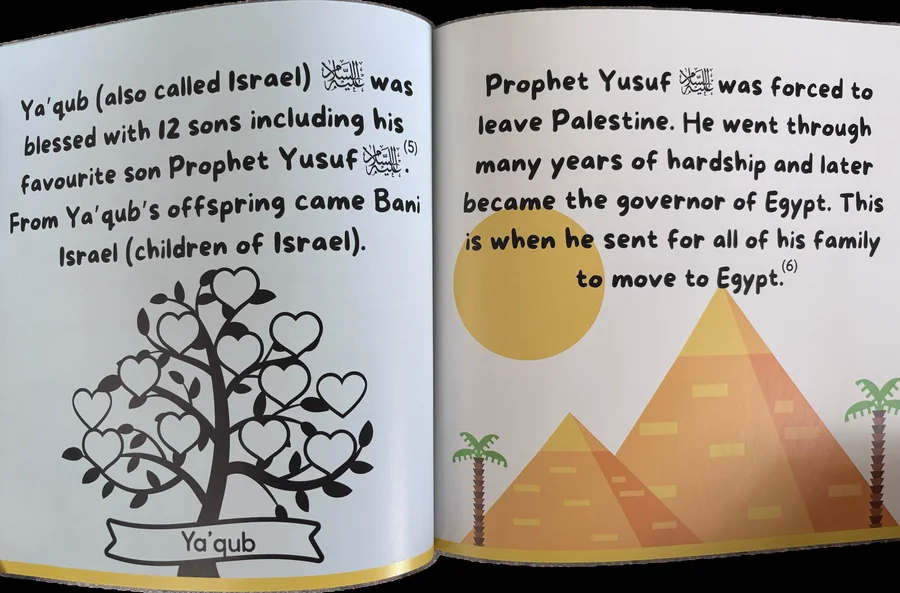 My first book on Palestine image