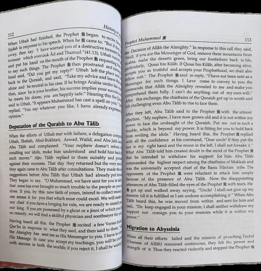The History of Islam Vol 1 image