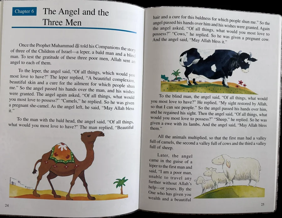 Islamic Studies for Class 6 image